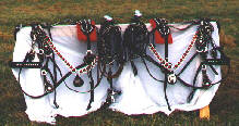 Minature Horse Draft team harness